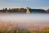 Misty Pasture_07970